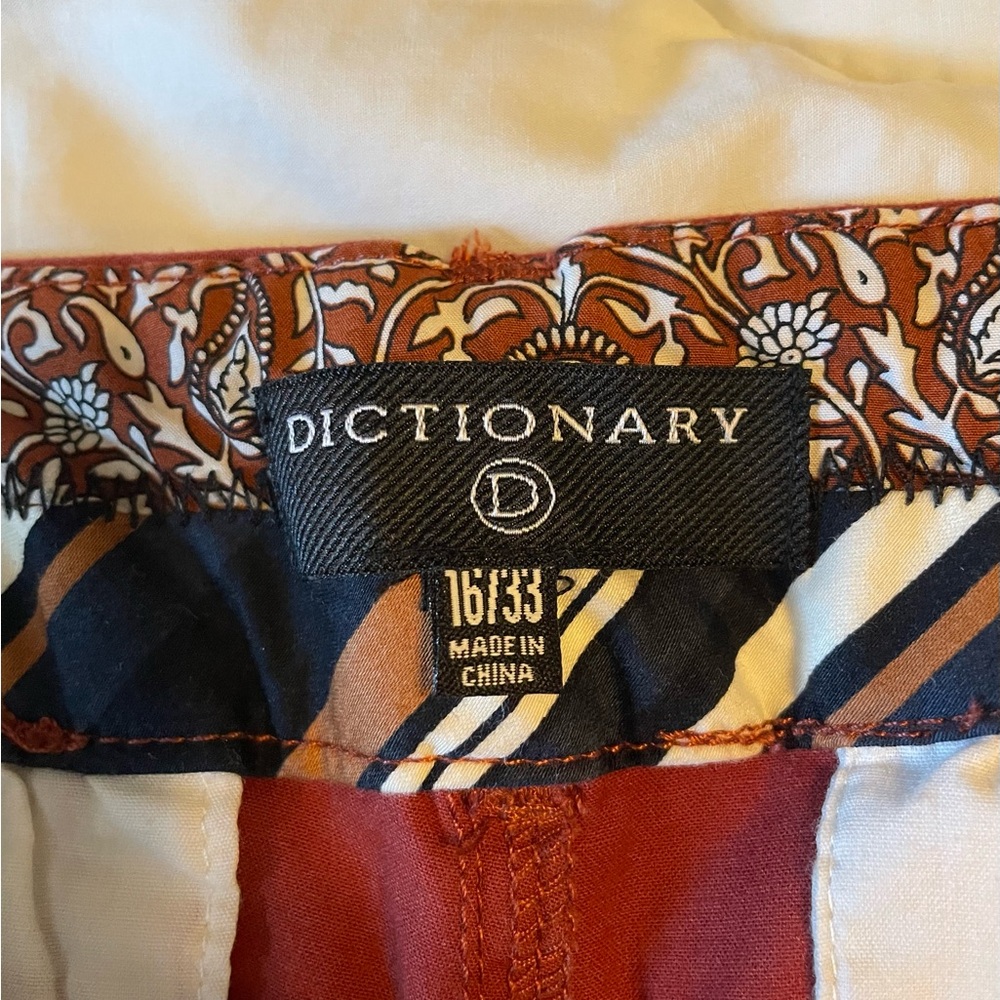 Dictionary Women’s Rust Red Pants View 2